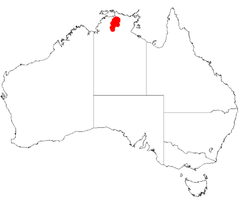 Acacia echinuliflora: Acacia echinuliflora Occurrence data from Australasia Virtual Herbarium downloaded from https://doi.org/10.26197/5c0b1388984eb on 8 December 2018