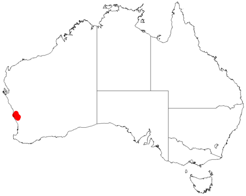 Acacia epacantha: Acacia epacantha occurrence data from Australasian Virtual Herbarium downloaded from https://doi.org/10.26197/5c06138894b on December 8 2018