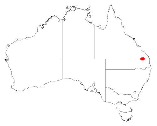 Acacia eremophiloides: Acacia eremophiloides Occurrence data from Australasia Virtual Herbarium downloaded from https://doi.org/10.26197/5c0b1388984eb on 8 December 2018