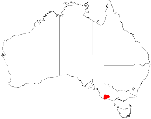 Acacia exudans: Acacia exudans occurrence data from Australasian Virtual Herbarium downloaded from https://doi.org/10.26197/5c06138894b on December 8 2018