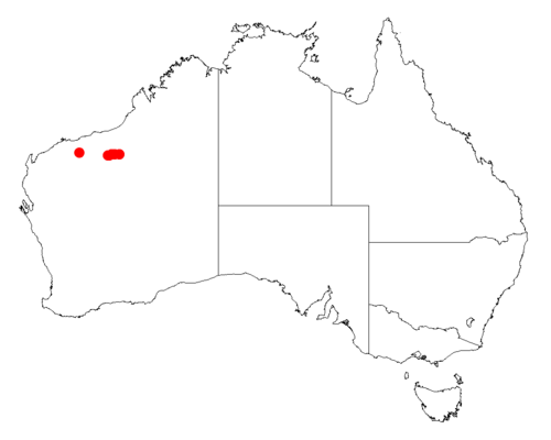 Acacia fecunda: Acacia fecunda occurrence data from Australasian Virtual Herbarium downloaded from https://doi.org/10.26197/5c06138894b on December 8 2018
