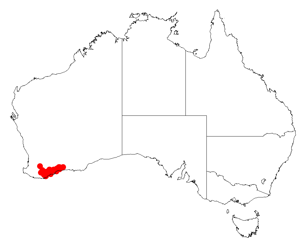 Acacia ferocior: Acacia ferocior occurrence data from Australasian Virtual Herbarium downloaded from https://doi.org/10.26197/5c06138894b on December 8 2018
