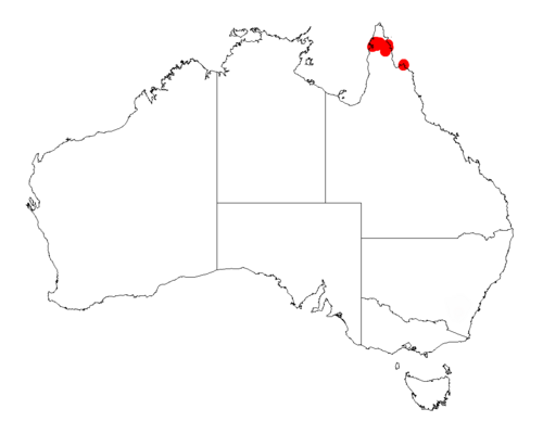 Acacia fleckeri: Acacia fleckeri occurrence data from Australasian Virtual Herbarium downloaded from https://doi.org/10.26197/5c06138894b on December 8 2018