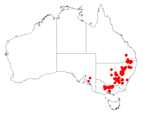 Bent leaf wattle: Acacia flexifolia occurrence data from Australasian Virtual Herbarium downloaded from https://doi.org/10.26197/5c06138894b on December 8 2018