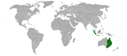 Acacia floribunda: Acacia floribunda range map showing both native and naturalised distribution . This species is native to eastern mainland Australia, but has naturalised in othe