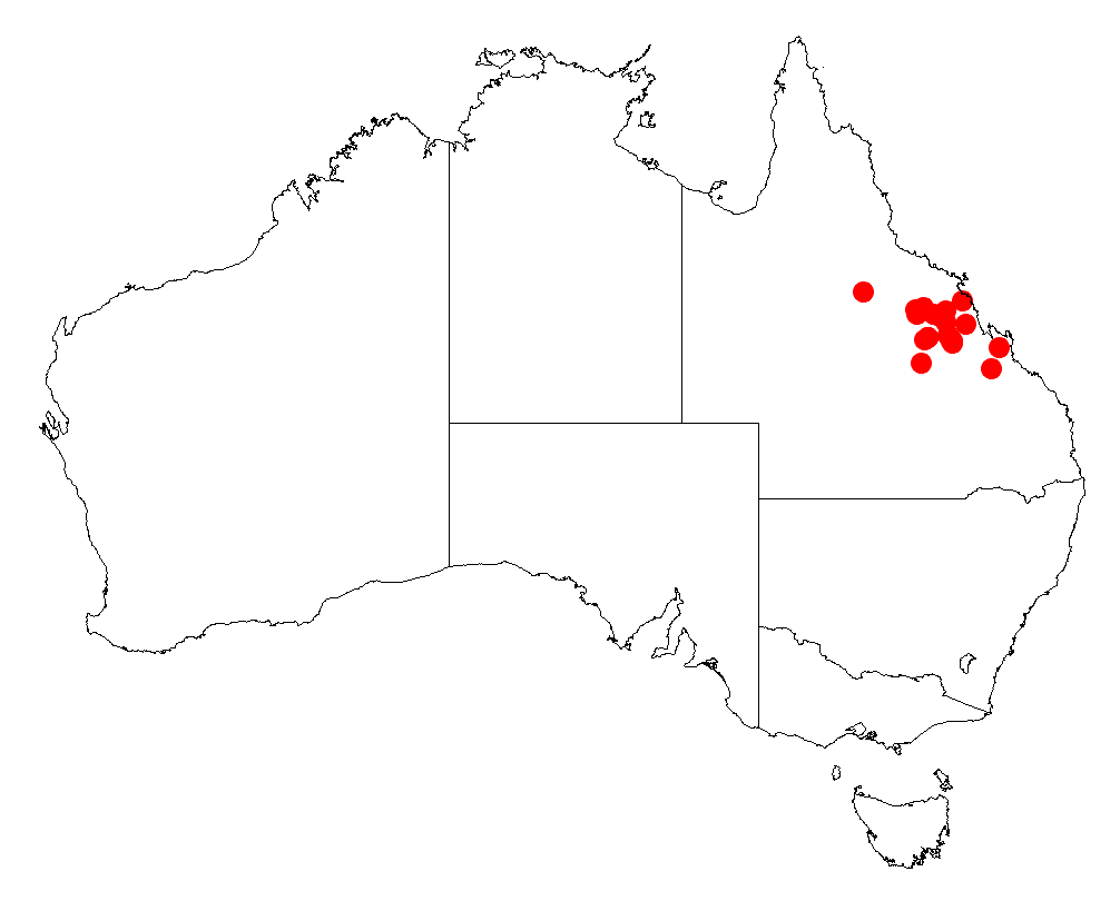 Acacia fodinalis: Acacia fodinalis occurrence data from Australasian Virtual Herbarium downloaded from https://doi.org/10.26197/5c06138894b on December 8 2018