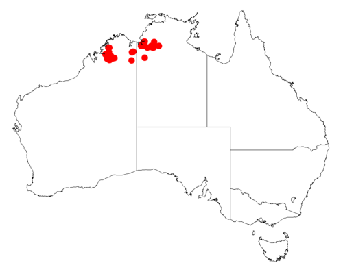 Acacia froggattii: Acacia froggattii occurrence data from Australasian Virtual Herbarium downloaded from https://doi.org/10.26197/5c06138894b on December 8 2018