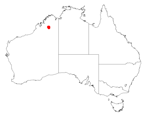 Acacia gloeotricha: Acacia gloeotricha occurrence data from Australasian Virtual Herbarium downloaded from https://doi.org/10.26197/5c06138894b on December 8 2018