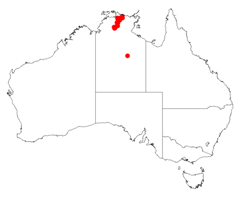 Acacia gracilenta: Acacia gracilenta occurrence data from Australasian Virtual Herbarium downloaded from https://doi.org/10.26197/5c06138894b on December 8 2018