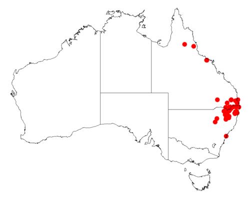 Acacia granitica: Acacia granitica occurrence data from Australasian Virtual Herbarium downloaded from https://doi.org/10.26197/5c06138894b on December 8 2018