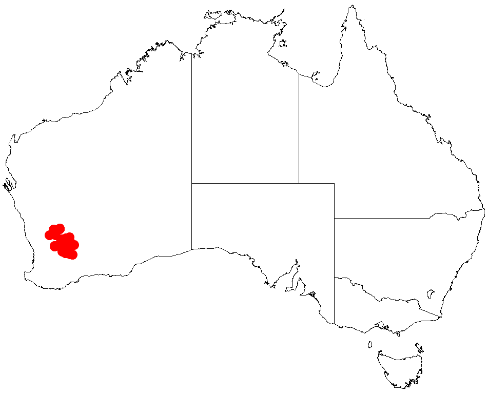Acacia graniticola: Acacia graniticola occurrence data from Australasian Virtual Herbarium downloaded from https://doi.org/10.26197/5c06138894b on December 8 2018