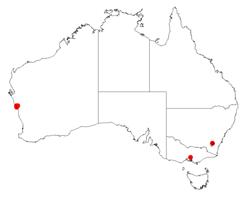 Acacia guinetii: Acacia guinetii occurrence data from Australasian Virtual Herbarium downloaded from https://doi.org/10.26197/5c06138894b on December 8 2018