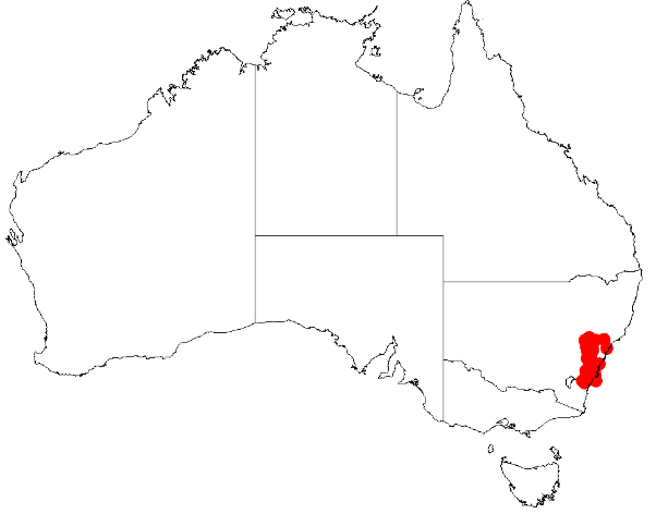 Acacia hamiltoniana: Acacia hamiltoniana Occurrence data from Australasia Virtual Herbarium downloaded from https://doi.org/10.26197/5c0b1388984eb on 8 December 2018