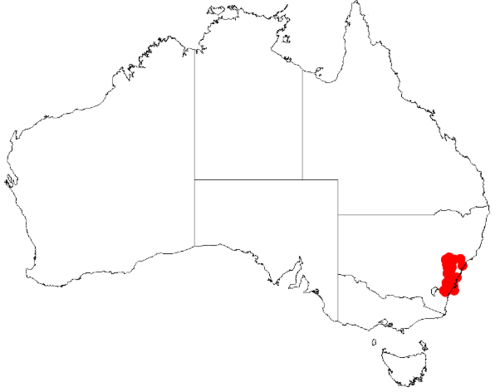 Acacia hamiltoniana: Acacia hamiltoniana Occurrence data from Australasia Virtual Herbarium downloaded from https://doi.org/10.26197/5c0b1388984eb on 8 December 2018