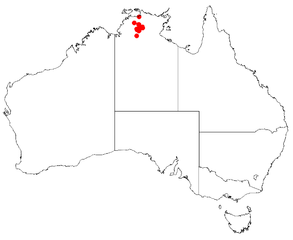 Acacia helicophylla: Acacia helicophylla occurrence data from Australasian Virtual Herbarium downloaded 8 December 2018 from https://doi.org/10.26197/5c0b1388984eb