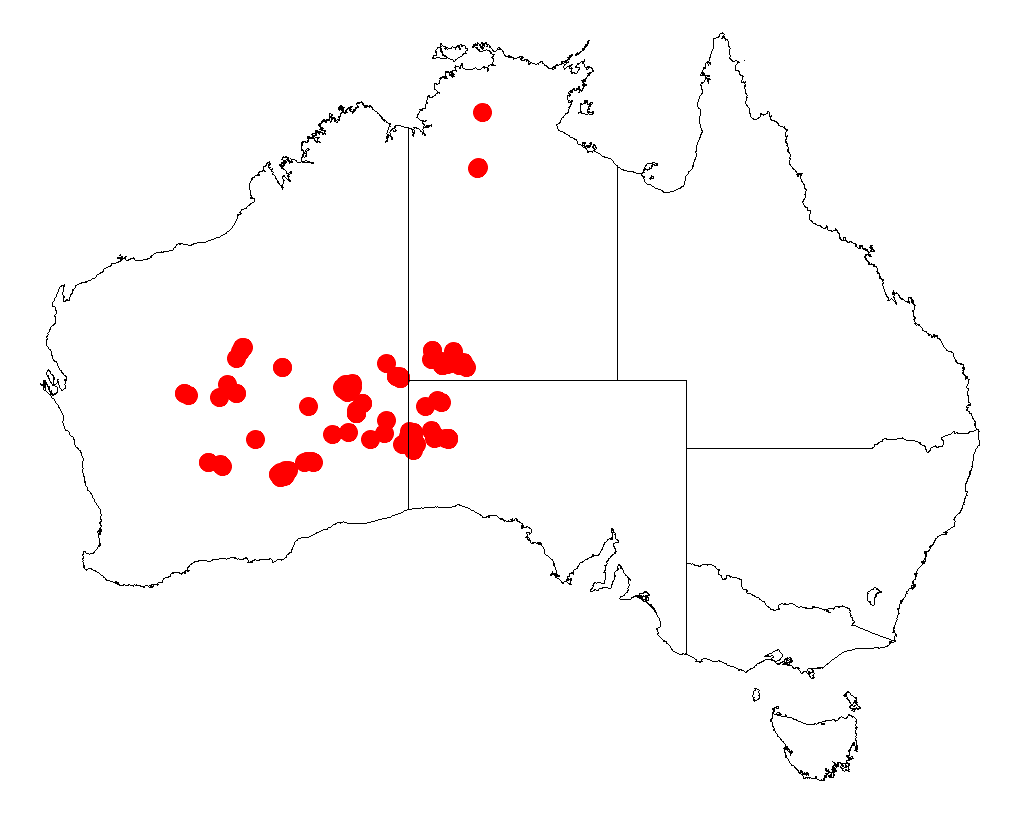 Helm's wattle: Acacia helmsiana occurrence data from Australasian Virtual Herbarium downloaded from https://doi.org/10.26197/5c06138894b on December 8 2018