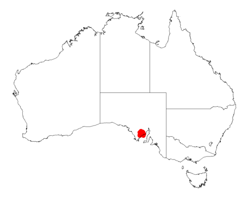 Acacia hexaneura: Acacia hexaneura occurrence data from Australasian Virtual Herbarium downloaded from https://doi.org/10.26197/5c06138894b on December 8 2018
