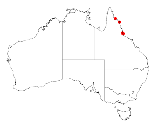 Acacia homaloclada: Acacia homaloclada occurrence data from Australasian Virtual Herbarium downloaded from https://doi.org/10.26197/5c06138894b on December 8 2018