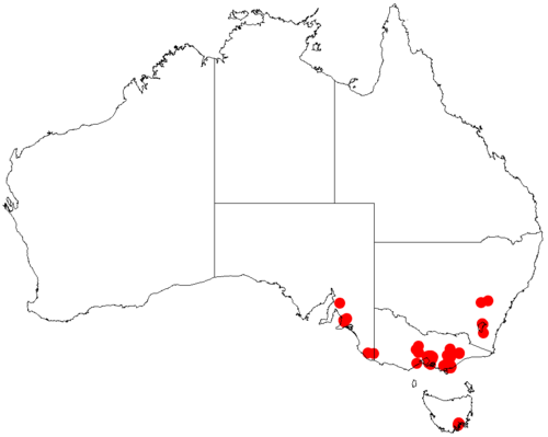 Sticky wattle: Acacia howittii occurrence data from Australasian Virtual Herbarium downloaded from https://doi.org/10.26197/5c06138894b on December 8 2018