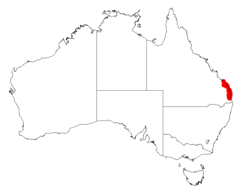 Acacia hubbardiana: Acacia hubbardiana occurrence data from Australasian Virtual Herbarium downloaded from https://doi.org/10.26197/5c06138894b on December 8 2018