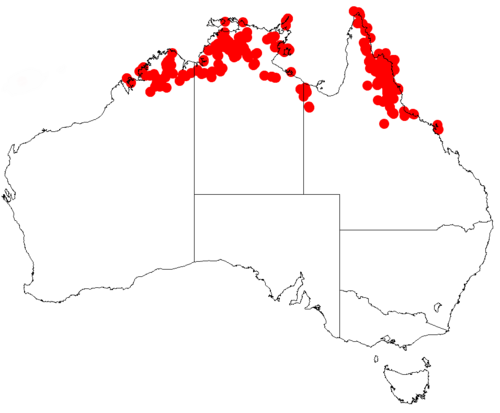 Acacia humifusa: Acacia humifusa occurrence data from Australasian Virtual Herbarium downloaded from https://doi.org/10.26197/5c06138894b on December 8 2018