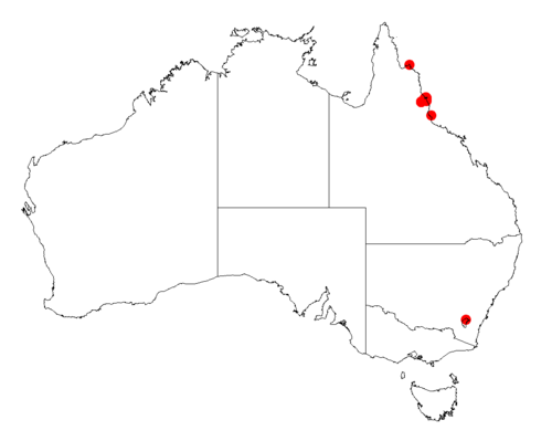 Acacia hylonoma: Acacia hylonoma occurrence data from Australasian Virtual Herbarium downloaded from https://doi.org/10.26197/5c06138894b on December 8 2018