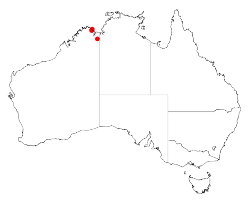 Acacia hypermeces: Acacia hypermeces occurrence data from Australasian Virtual Herbarium downloaded from https://doi.org/10.26197/5c06138894b on December 8 2018