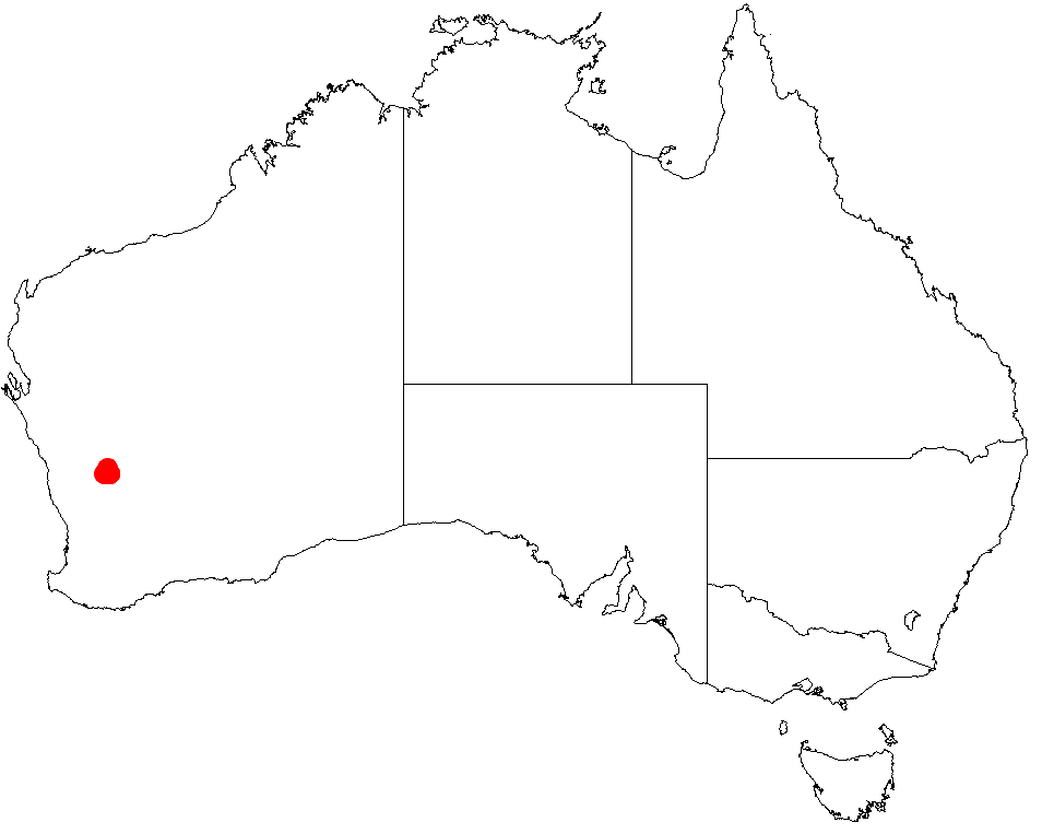 Acacia imitans: Acacia imitans occurrence data from Australasian Virtual Herbarium downloaded from https://doi.org/10.26197/5c06138894b on December 8 2018