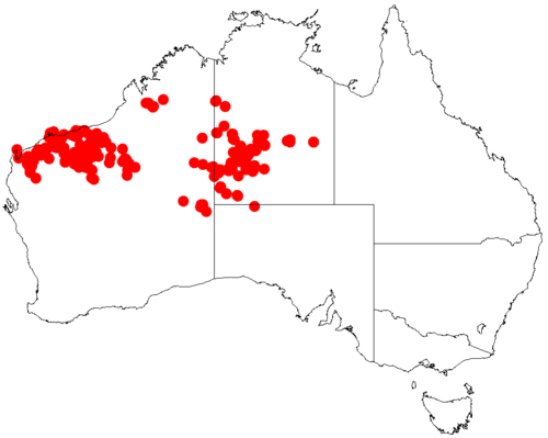 Baderi: Acacia inaequilatera occurrence data from Australasian Virtual Herbarium downloaded from https://doi.org/10.26197/5c0b1388984eb on 8 December 2018
