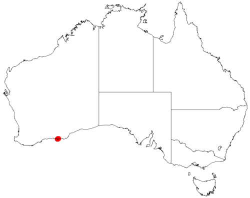 Acacia incanicarpa: Acacia incanicarpa occurrence data from Australasian Virtual Herbarium downloaded from https://doi.org/10.26197/5c06138894b on December 8 2018