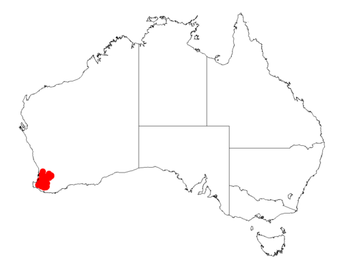 Acacia insolita: Acacia insolita occurrence data from Australasian Virtual Herbarium downloaded from https://doi.org/10.26197/5c06138894b on December 8 2018