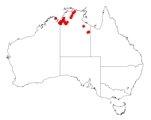Acacia jasperensis: Acacia jasperensis occurrence data from Australasian Virtual Herbarium downloaded from https://doi.org/10.26197/5c06138894b on December 8 2018
