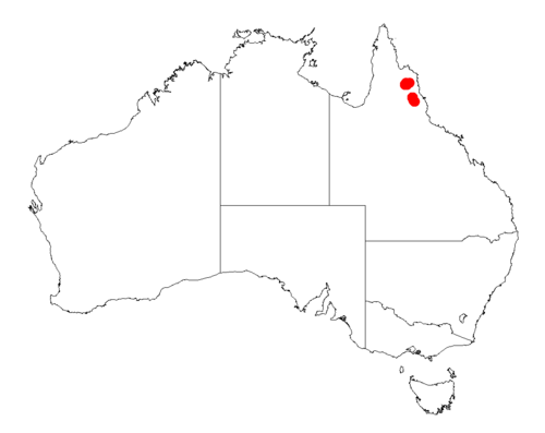 Acacia johannis: Acacia johannis occurrence data from Australasian Virtual Herbarium downloaded from https://doi.org/10.26197/5c06138894b on December 8 2018