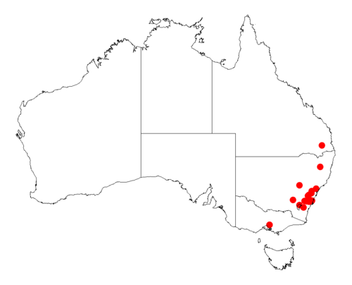 Acacia jonesii: Acacia jonesii occurrence data from Australasian Virtual Herbarium downloaded from https://doi.org/10.26197/5c06138894b on December 8 2018
