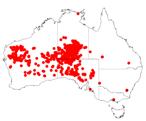 Acacia kempeana: Acacia kempeana Occurrence data from Australasia Virtual Herbarium downloaded from https://doi.org/10.26197/5c0b1388984eb on 8 December 2018