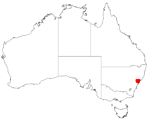Acacia kulnurensis: Acacia kulnurensis Occurrence data from Australasia Virtual Herbarium downloaded from https://doi.org/10.26197/5c0b1388984eb on 8 December 2018