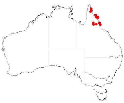 Acacia legnota: Acacia legnota Occurrence data from Australasia Virtual Herbarium downloaded from https://doi.org/10.26197/5c0b1388984eb on 8 December 2018