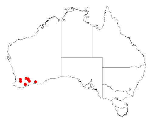 Acacia loxophylla: Acacia loxophylla occurrence data from Australasian Virtual Herbarium downloaded from https://doi.org/10.26197/5c06138894b on December 8 2018