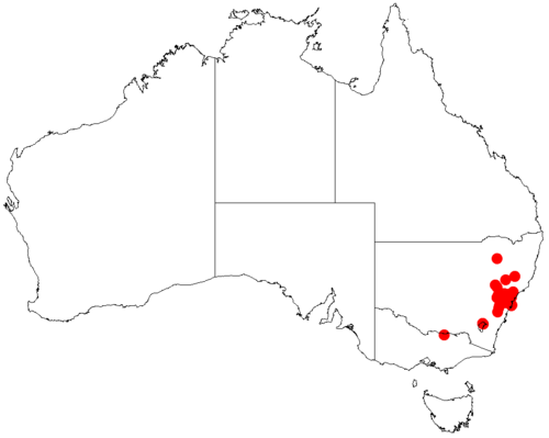 Acacia lunata: Acacia lunata occurrence data from Australasian Virtual Herbarium downloaded from https://doi.org/10.26197/5c06138894b on December 8 2018
