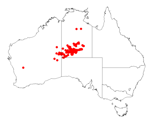Acacia macdonnelliensis: Acacia macdonnellensis Occurrence data from Australasia Virtual Herbarium downloaded from https://doi.org/10.26197/5c0b1388984eb on 8 December 2018