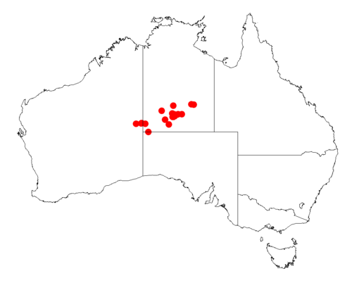 Acacia macdonnelliensis: Acacia macdonnelliensis occurrence data from Australasian Virtual Herbarium downloaded from https://doi.org/10.26197/5c06138894b on December 8 2018