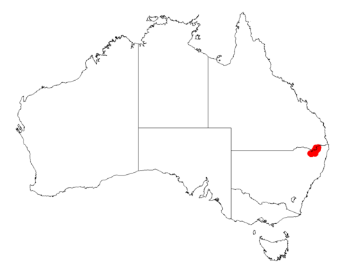 Acacia macnuttiana: Acacia macnuttiana occurrence data from Australasian Virtual Herbarium downloaded from https://doi.org/10.26197/5c06138894b on December 8 2018
