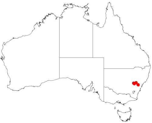 Acacia meiantha: Acacia meiantha occurrence data from Australasian Virtual Herbarium downloaded from https://doi.org/10.26197/5c06138894b on December 8 2018