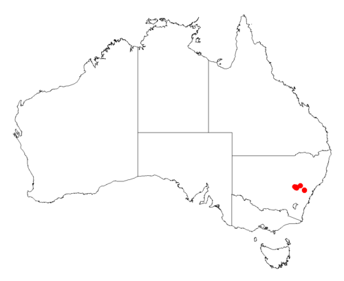 Acacia meiantha: Acacia meiantha Occurrence data from Australasia Virtual Herbarium downloaded from https://doi.org/10.26197/5c0b1388984eb on 8 December 2018