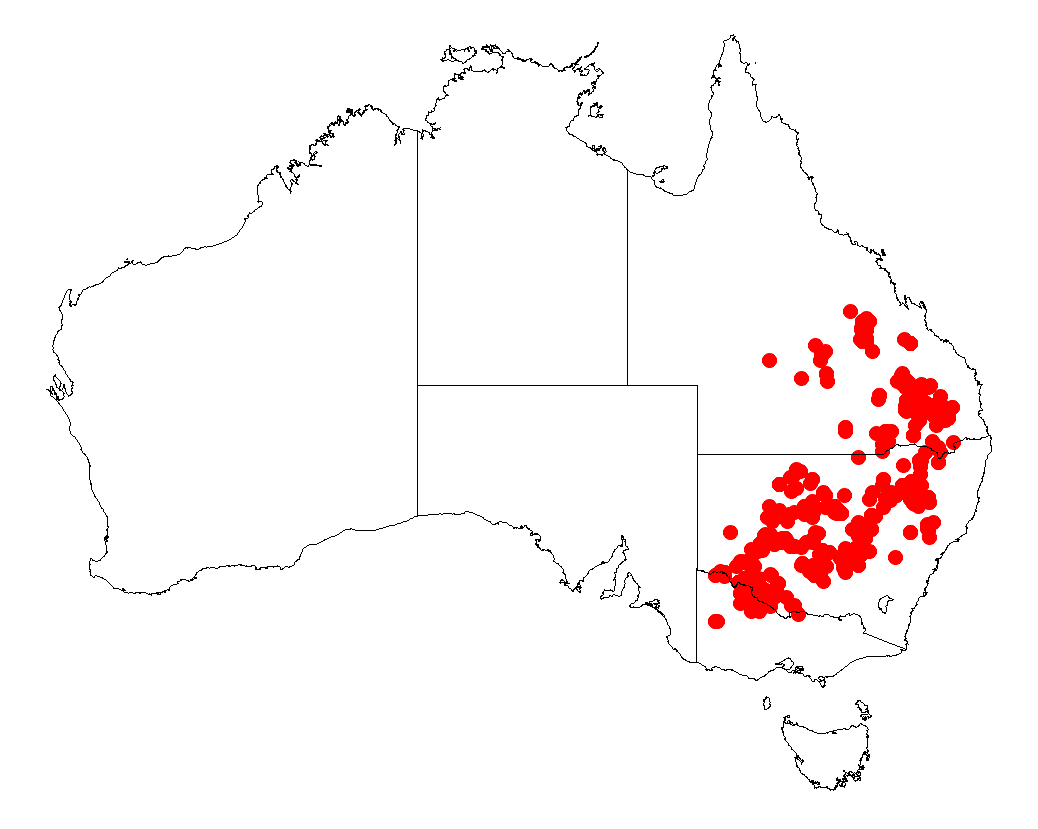 Acacia melvillei: Acacia melvillei Occurrence data from Australasia Virtual Herbarium downloaded from https://doi.org/10.26197/5c0b1388984eb on 8 December 2018