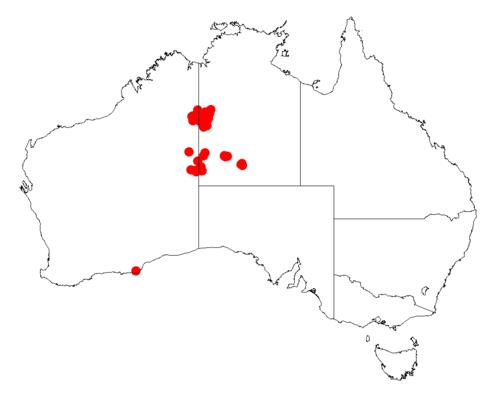 Acacia minutifolia: Acacia minutifolia occurrence data from Australasian Virtual Herbarium downloaded from https://doi.org/10.26197/5c06138894b on December 8 2018