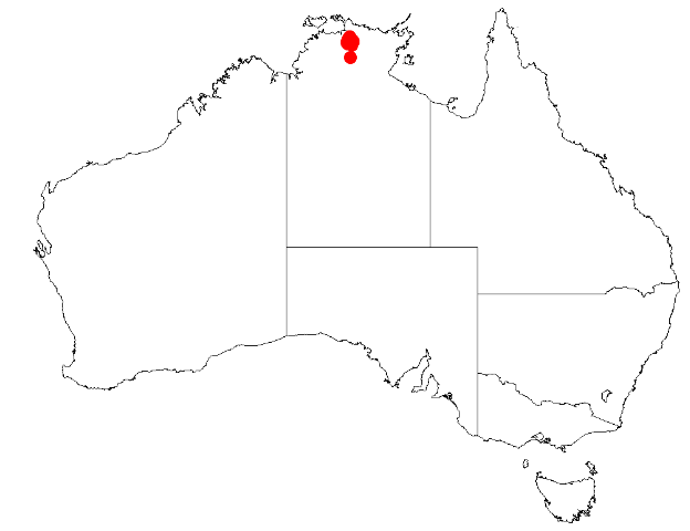Acacia multistipulosa: Acacia multistipulosa Occurrence data from Australasian Virtual Herbarium downloaded from https://doi.org/10.26197/5c0b1388984eb on 8 December 2018