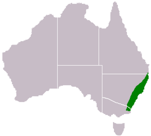 Blunt-leaf wattle: Acacia obtusifolia range map created with a blank map from the Commons, info from ILDIS LegumeWeb and the GIMP. More detail from ANBG [1]