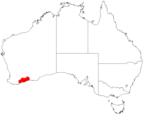 Acacia octonervia: Acacia octonervia occurrence data from Australasian Virtual Herbarium downloaded from https://doi.org/10.26197/5c0b1388984eb on 8 December 2018