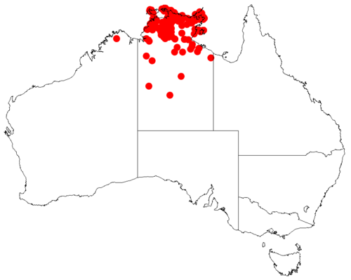 Acacia oncinocarpa: Acacia oncinocarpa occurrence data from Australasian Virtual Herbarium downloaded from https://doi.org/10.26197/5c0b1388984eb on 8 December 2018